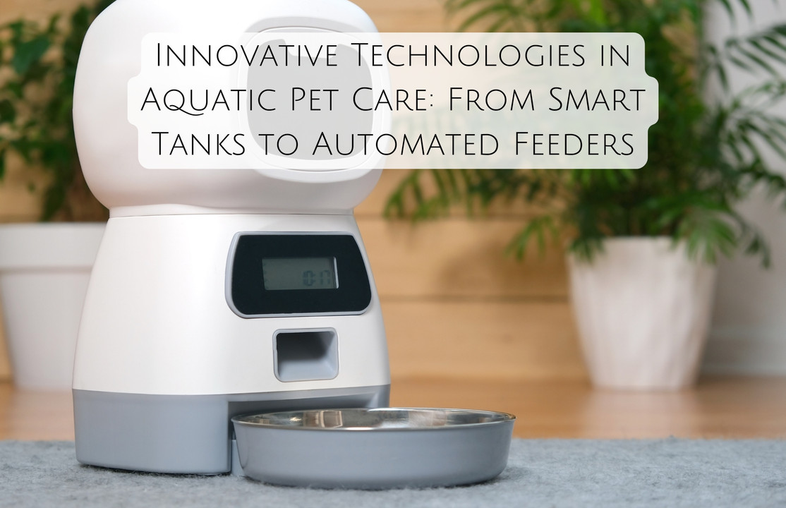 Innovative Technologies in Aquatic Pet Care: From Smart Tanks to Automated Feeders