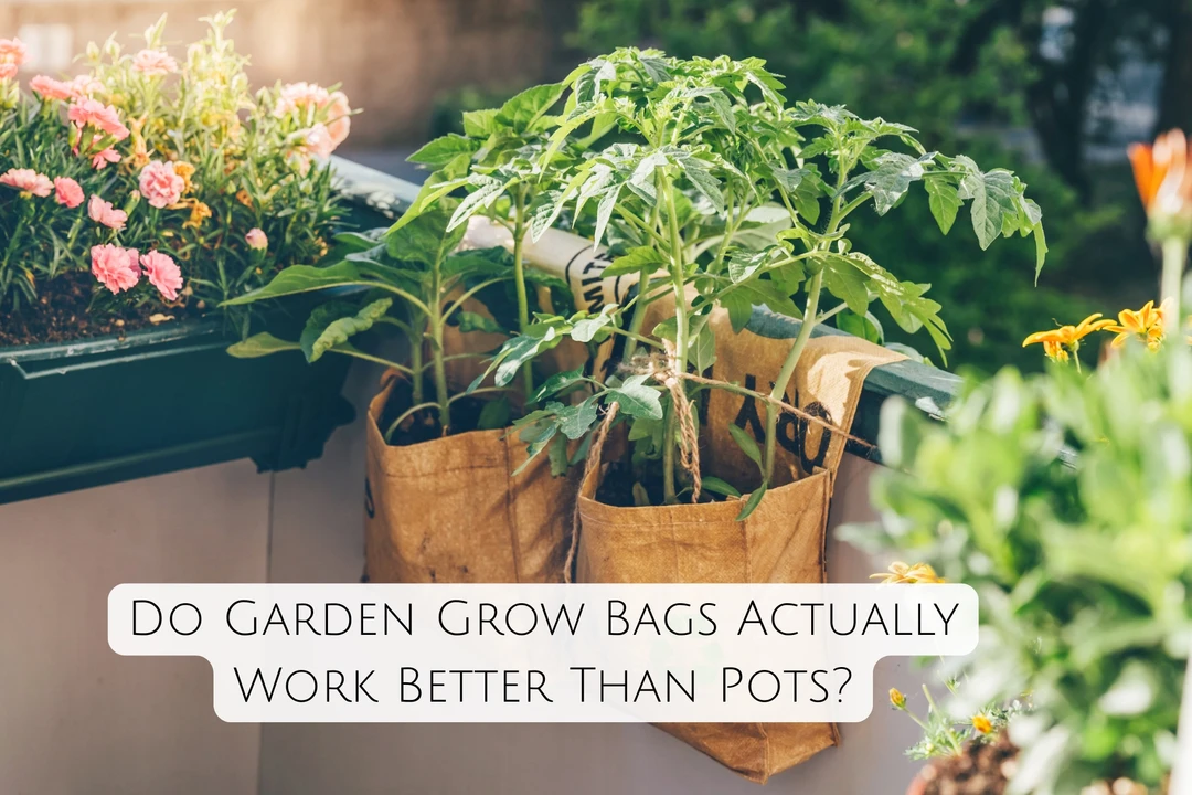 Do Garden Grow Bags Actually Work Better Than Pots?