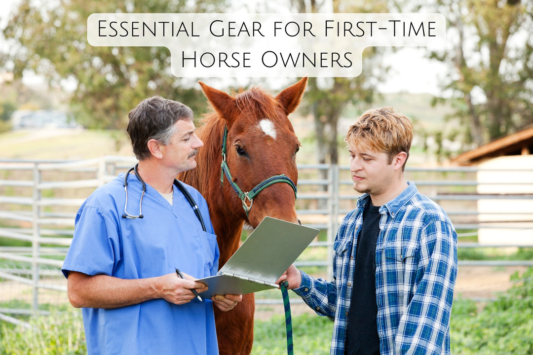Essential Gear for First-Time Horse Owners