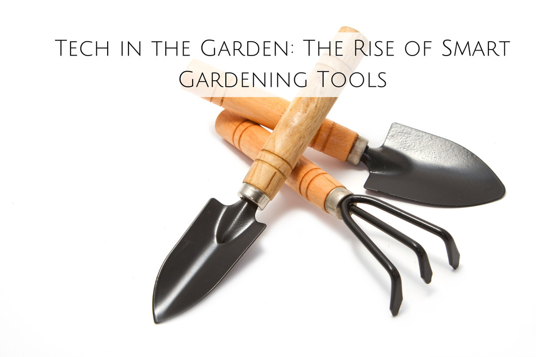 Tech in the Garden: The Rise of Smart Gardening Tools Tech in the Garden: The Rise of Smart Gardening Tools