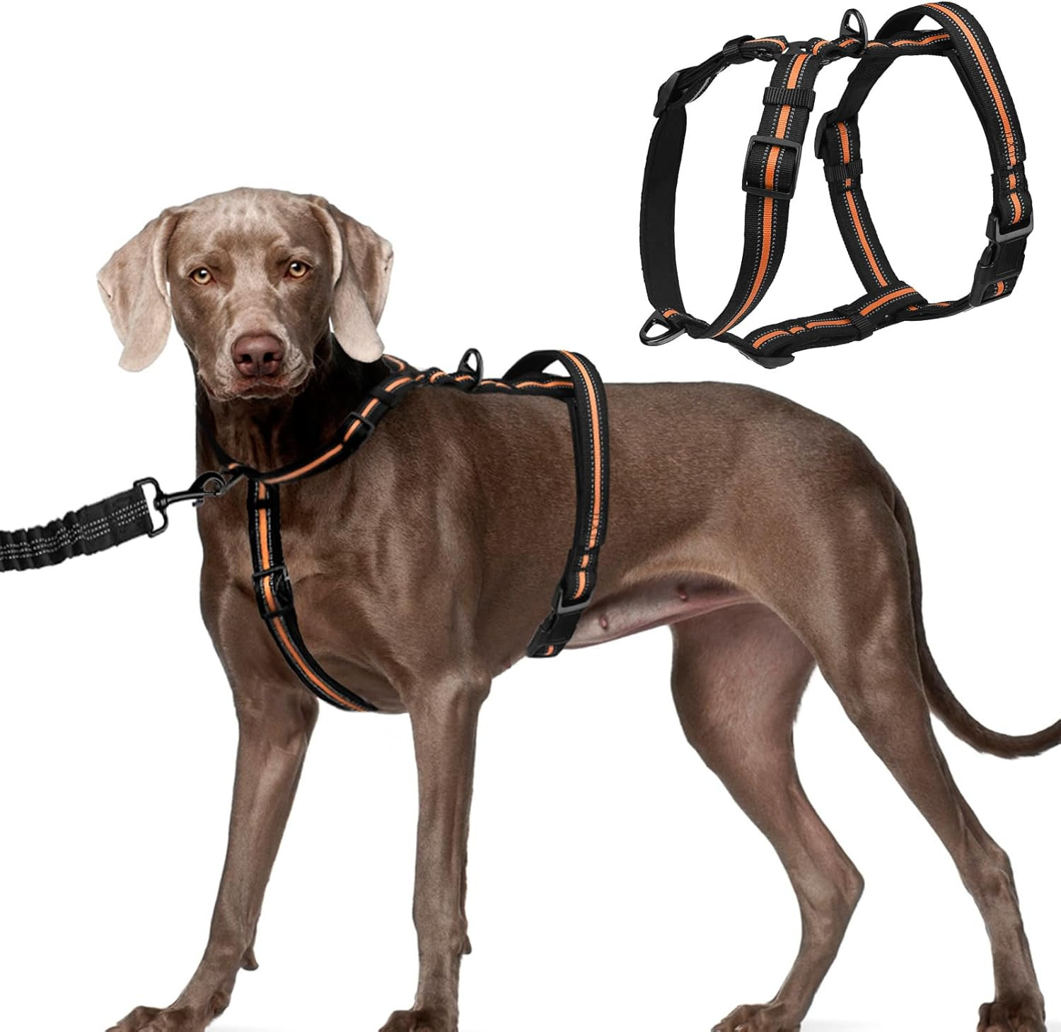 Pupteck No Pull Dog Harness Escape Proof For Small Medium Large