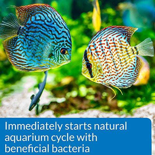 Picture of Api Quick Start Freshwater And Saltwater Aquarium Nitrifying Bacteria ...