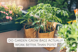 Do Garden Grow Bags Actually Work Better Than Pots?