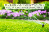 Eco-Lawn Care: How to Maintain a Healthy Lawn While Saving Water