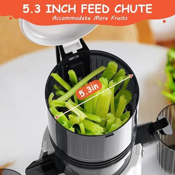Hobsir Juicer Machines White And 110V Touch 2 Burner Electric Cooktop
