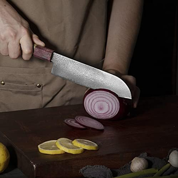 Damascus Chef Knife Stablized Wood Unique Handle Professional 8 Inch Japanese Chefs Kitchen Knife Vg10 67 Layers Damascus Steel Knive With Sheath (Santoku Knife)