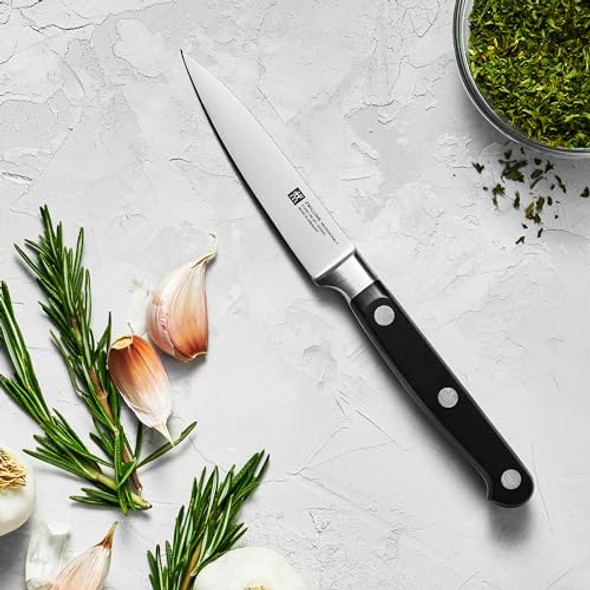 Zwilling 31020-101-0 Paring Knife Silver/Black