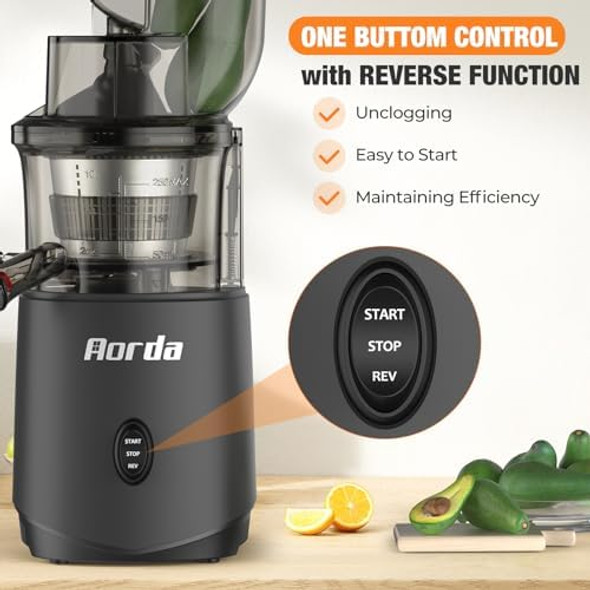 Slow Cold Press Juicer Machines: Masticating Cold Pressed Compact Juicer For Vegetable And Fruit Easy To Clean Silver Grey