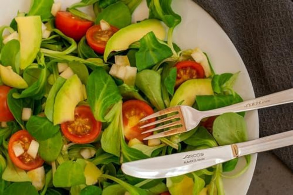 Arcos Toscana Series 570200 lunch knife. One-piece monoblock knife made of 18/10 stainless steel. Knife of 18.5 cm (7.28") very resistant.