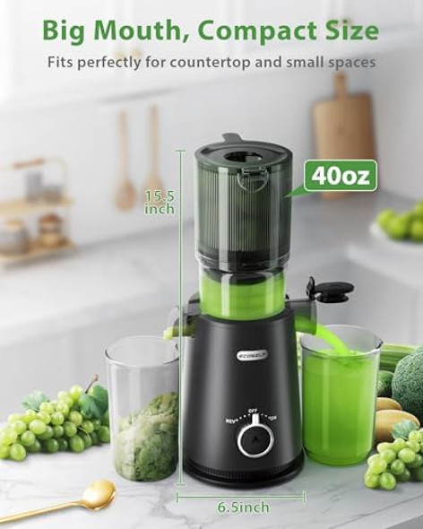 Juicer Machines ECOSELF 4.35" Large Feed Chute for Family Needs Professional Hands Cold Press Juicer For Whole Fruits & Vegetables Self Feeding for Juice Extractor Machine Easy to Clean