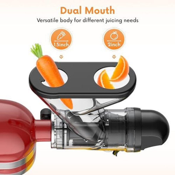 Masticating Juicer Attachment for KitchenAid Stand Mixer Cold Pressed Juicer Machine Slow Masticating Juicer Attachment with Dual Feed Chute and Pusher by FGREEBLE