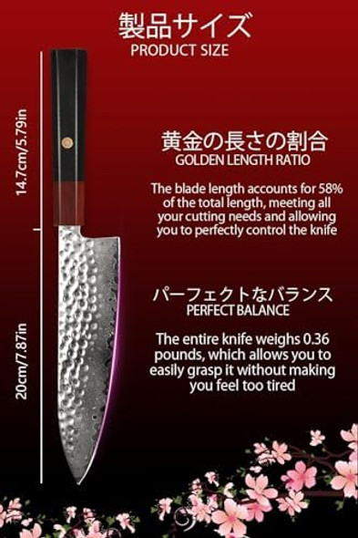 8 Inch Japanese Chef Knife - 67 Layers Japanese Vg-10 Damascus Steel Hand Forging Kitchen Knife Professional Ultra-Sharp Japanese Knife With Sheath