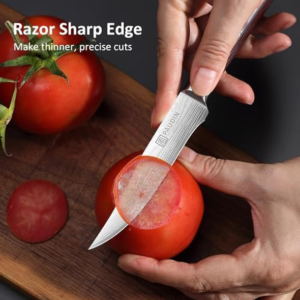 Paudin Utility Knife 5 Inch Kitchen Knife Ultra Sharp High Carbon Stainless Steel Small Chef Knife With Sheath Kitchen Utility Knife With Ergonomic Pakkawood Handle