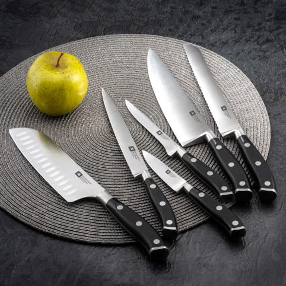 Richardson Sheffield Fn180 Vulcano Professional Chef Knife 10" Stainless Steel Nsf Approved