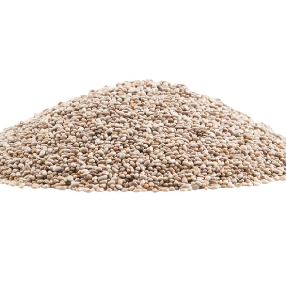 GERBS Raw White Chia Seeds 2 LBS. Premium Grade | Freshly Harvested & Packaged in Resealable Bulk Bag | Non-GMO, Keto & Paleo Cleared |Great with yogurt, smoothies & oatmeal | Gluten Peanut Free GERBS Raw White Chia Seeds 2 LBS. Premium Grade | Freshly Harvested & Packaged in Resealable Bulk Bag | Non-GMO, Keto & Paleo Cleared |Great with yogurt, smoothies & oatmeal | Gluten Peanut Free