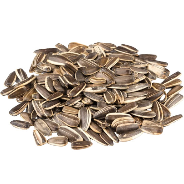 Jumbo Unsalted Sunflower Seeds In Shell by Gerbs – 2 LBS - Top 14 Food Allergen Free & NON GMO - Premium Dry Roasted Whole Sunflower Seed Jumbo Unsalted Sunflower Seeds In Shell by Gerbs – 2 LBS - Top 14 Food Allergen Free & NON GMO - Premium Dry Roasted Whole Sunflower Seed