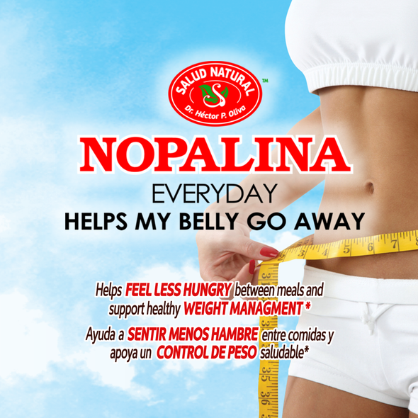 Nopalina Flax Seed Fiber Chocolate dietary Supplement Bag Nopalina Flax Seed Fiber Chocolate dietary Supplement Bag