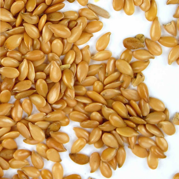 Organic Golden Flax Seeds -Resealable Bag - Yellow / Gold Flaxseeds - Flax Seed for Sprouting, Grinding, Omega Oils, Baking Organic Golden Flax Seeds -Resealable Bag - Yellow / Gold Flaxseeds - Flax Seed for Sprouting, Grinding, Omega Oils, Baking