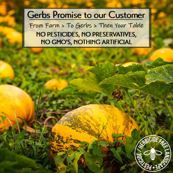Pumpkin Seeds in-Shell (Whole) Roasted & Unsalted by Gerbs - 2 LBS Premium Grade AA Pepitas - Top 10 Food Allergen Free - Vegan & Kosher - Seed Country of Origin USA - Made in Rhode Island