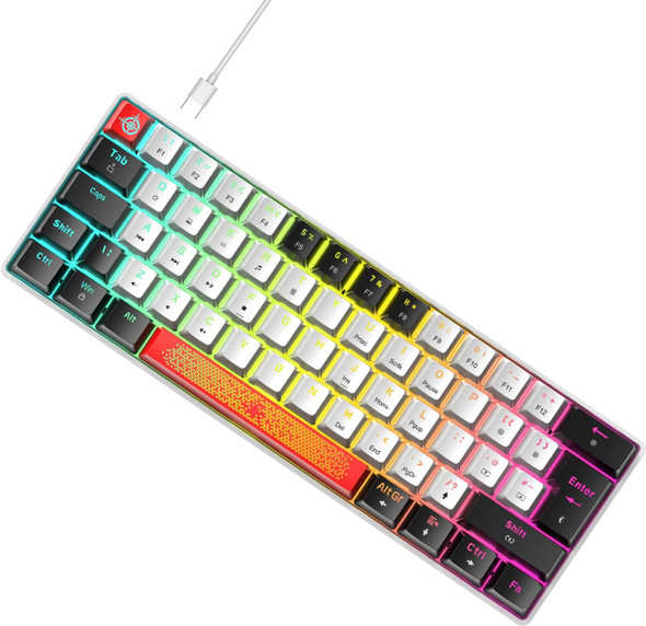 LexonElec 60% Wired RGB Gaming Keyboard,62 Keys Compact Mechanical Keyboard Degsin Keycaps,Detachable USB Type-C,Blue Switch 18 LED Chroma Backlit for Typists and Gamers-White/Black