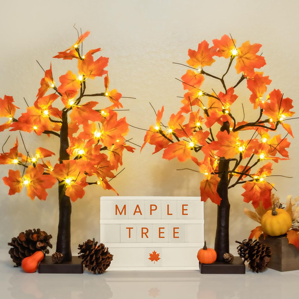 2 Pack Fall Lighted Maple Tree, 48 LED Lights, USB+Battery Operated 24-inch Thanksgiving Table Centerpieces Decoration Artificial Tree Fall Decorations for Office Home Tabletop Indoor Decor Kitchen
