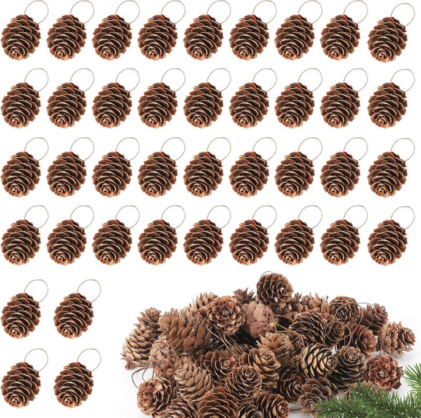 40 Pcs Natural Small Christmas Pine Cones - Pinecones for Crafts, Bulk Pine Cone Ornaments with Strings for Christmas DIY Tag Decoration Wreath Garlands Fall Tree Wedding
