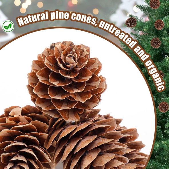 40 Pcs Natural Small Christmas Pine Cones - Pinecones for Crafts, Bulk Pine Cone Ornaments with Strings for Christmas DIY Tag Decoration Wreath Garlands Fall Tree Wedding