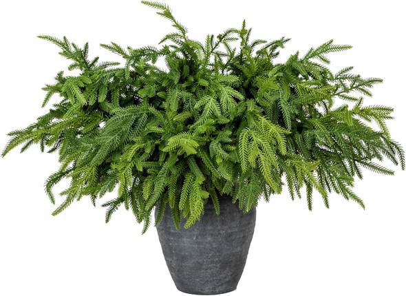 Briful 12PCS Christmas Norfolk Pine Branches Real Touch Norfolk Pine Stems DIY Crafts Artificial Christmas Norfolk Pine Branches for Xmas Garland Wreaths Indoor Outdoor Decor(22.5 Inches)