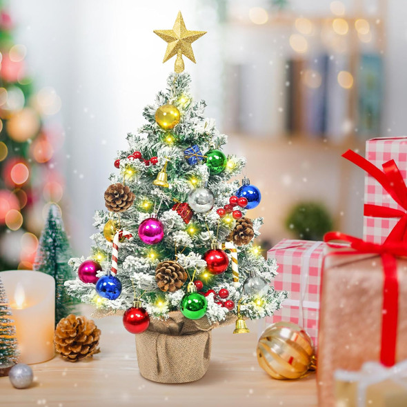 2FT Small Christmas Tree with Lights, Snowy Artificial Mini Christmas Tree, Table Top Christmas Tree Christmas Decorations Indoor Outdoor DIY for Home Decor Party s