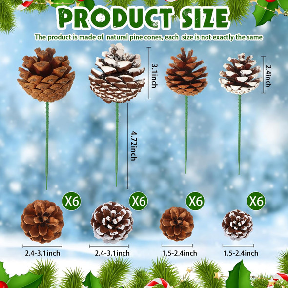 Crowye 24 Pcs Pinecones Natural Christmas Pine Cones 2.4''-3.1'' Large Pine Cone, 1.5''-2.4'' Small Pine Cone for Xmas Tree Garland Wreath Ornament Pinecone Decorating Winter (Primary Colors, White)