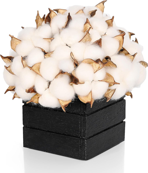 CVHOMEDECO. Cotton Pod with Wooden Vase Real Cotton Pods and Autumn Leaves in Black Wood Box for Home Decor. Idea for Wife, Him or Her, Valentines Day Mother's Day Birthday Warm s.