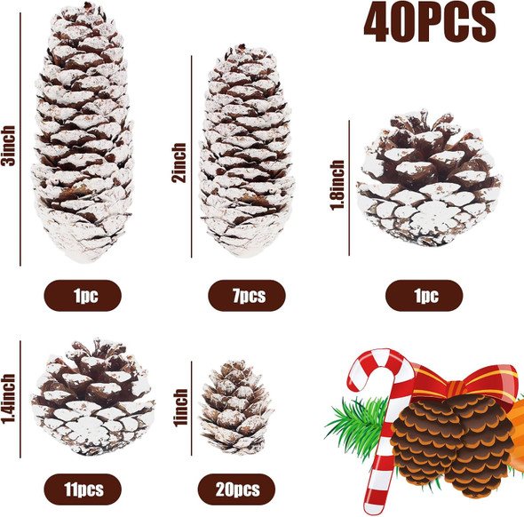 DomeStar 40PCS Snow Pine Cones for Crafts, Natural Pine Cones Christmas Pine Cone Ornaments for Xmas Tree Wreath Winter Holiday Hanging Ornaments