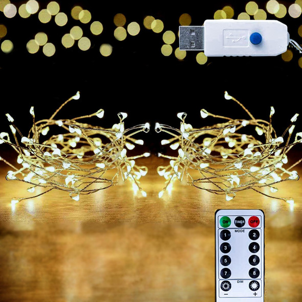 HANNAHONG 100 LED Fairy String Light with Remote for Wreath/Garland,Mantel,Christmas Tree,Dorm,Bottel/Jar Decor,Bright Dimmable USB Plug in Silver Wire Twinkle Lights,Waterproof(2 Pack,Warm White)