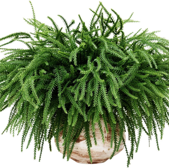 100 Pcs Christmas Norfolk Pine Branches, Christmas Greenery Stems, Artificial Pine Branches DIY Crafts Faux for Xmas Wreath Garland Indoor Outdoor Home Kitchen Garden Holiday Accessories Decor
