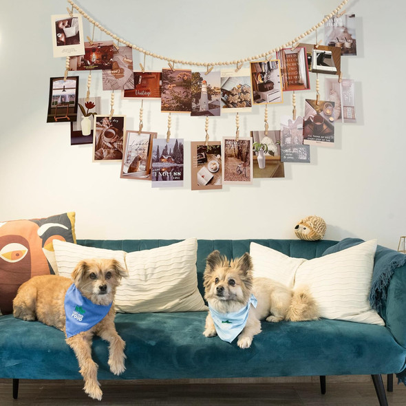 Hanging Photo Display, Wooden Bead Garland, Boho Style Collage Photo Frame Decoration for Dorms, Classrooms, Bedrooms, Hanging Display Card Holder