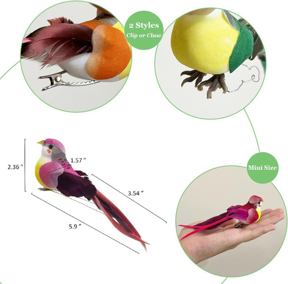LWINGFLYER 12pcs Assorted Artificial Birds Ornaments 6-inch Simulated Foam Feathered Birds for Home Garden Wedding Party Decoration Wreaths Crafts Christmas Tree Decor Claw