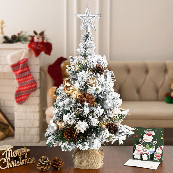 24 Inch 2FT Snowy Mini Christmas Tree, Small Tabletop Flocked Tree with LED Lights, Pine Cones, Balls, Star Tree Topper, Mini Box and Cloth Bag Base, Xmas Decorations (Mini Christmas Tree)