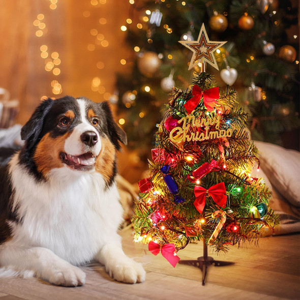 20 Inch Christmas Tree with Light Small Table Top Christmas Tree with LED String Lights, Star Treetop, Ornaments Balls Artificial DIY Christmas Table Decoration 20 Inch Christmas Tree with Light Small Table Top Christmas Tree with LED String Lights, Star Treetop, Ornaments Balls Artificial DIY Christmas Table Decoration