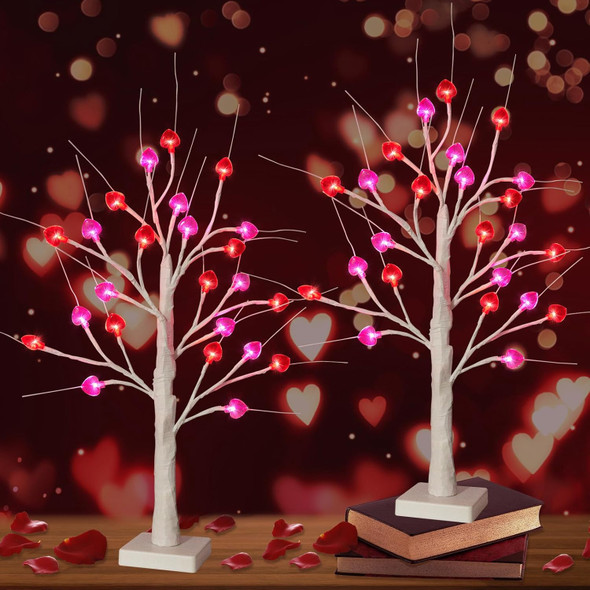 24 Inch Valentine's Day Tree Decorations Tabletop Lighted Birch Tree with 24 Red Pink Heart LED Lights, Battery Operated with Timer Valentines Tree for Home Indoor Party Wedding Decor (2Pack)