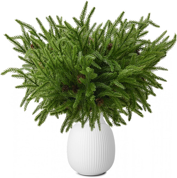 12 Pcs Christmas Norfolk Pine Branches, Artificial Christmas Pine Branches Norfolk Pine Stems, DIY Crafts Faux Christmas Greenery Stems, Real Touch, for Xmas Indoor Outdoor Home Decor.