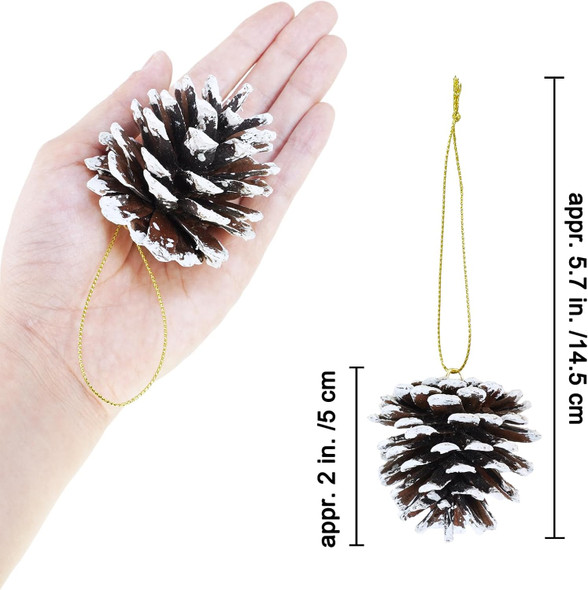 Winlyn 30 Pcs Christmas Pinecones Ornaments Frosted White Natural Pinecones Hanging with String Pinecone Christmas Tree Decorations for Winter Wedding Christmas Holiday Party DIY Craft Seasonal Wreath