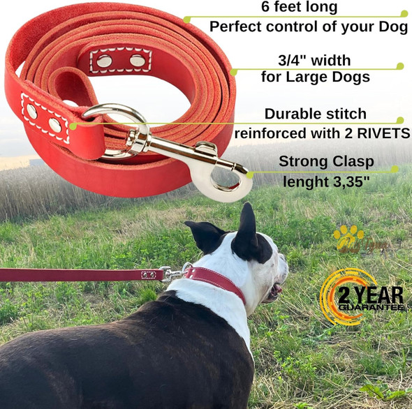 Heavy Duty Leather Dog Leash 6Ft - Strong And Soft Leather Leash For Large And Medium Dogs - Dog Training Lead (Red, L - 6 Ft X 3/4 Inch)