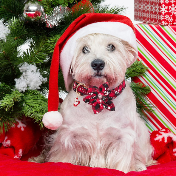 Adoggygo Christmas Dog Collar With Flower, Plaid Dog Christmas Collar With Removable Floral Adjustable Christmas Collars For Medium Dog (Medium)