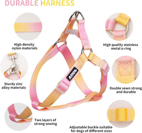 Aiitle Dog Harness And Leash Set - No Pull Pet Harness Soft Adjustable Nylon Step In Puppy Vest Outdoor Walking - Transparent Buckle - Training Running For Extra Small Dogs,Yellow-Pink Gradient Xs