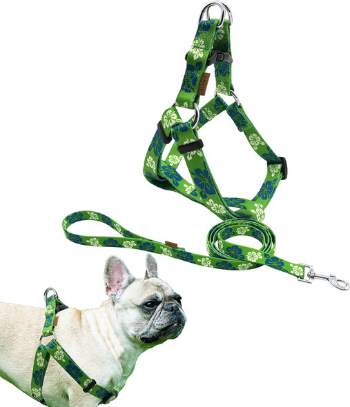 Dog Halter Harness And Leash Set, Cute Floral Patterns, Soft And Adjustable Harness, Step In, Anti-Choke — Perfect For Walking (Harness Leash Set (Green), M (Chest 17-28))