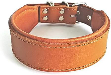 Bestia Classic Padded Leather Dog Collar. Hand Made In Europe. Up To 2 Inch Width, 100% Leather, 7 Sizes