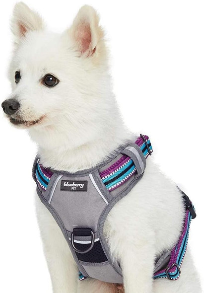 Blueberry Pet Soft & Comfy 3M Reflective Dog Harness Vest Mesh Padded No Pull Dog Harness W/Front/Back Clips Multi-Colored Stripe - Violet And River Blue Reflective Dog Harness For Small Dogs