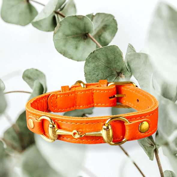 Princess Grace Handmade Leather Dog Collar (Orange) (Xs)