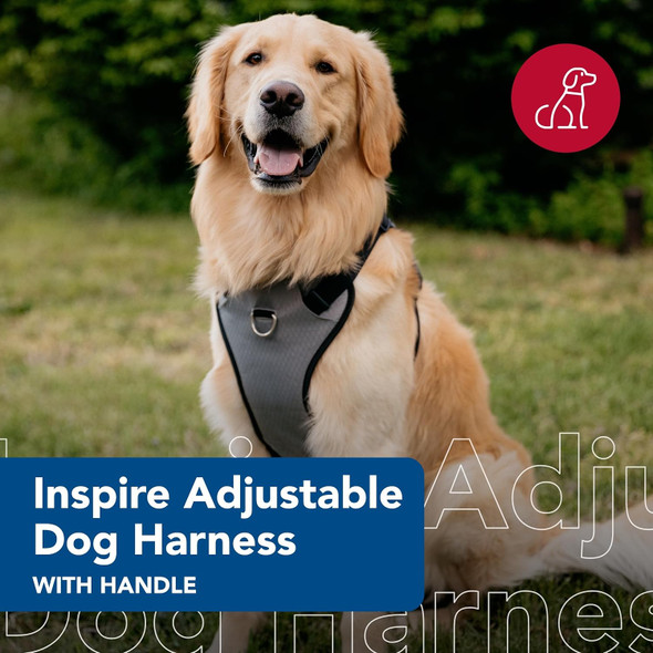 Coastal - Inspire Enhanced Core - Dog Harness, Grey, 1 X 30-43 Coastal - Inspire Enhanced Core - Dog Harness, Grey, 1 X 30-43
