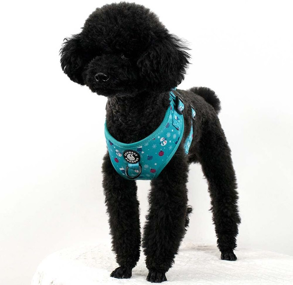 Puppy Harness, Dog Harness And Leash Set, No Pull Dog Harness, Small Dog Harness And Leash For Training, Breathable Air Mesh Padded Dog Vest Harness
